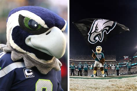 Fly Eagles Fly: A Look at NFL Teams with Avian Mascots